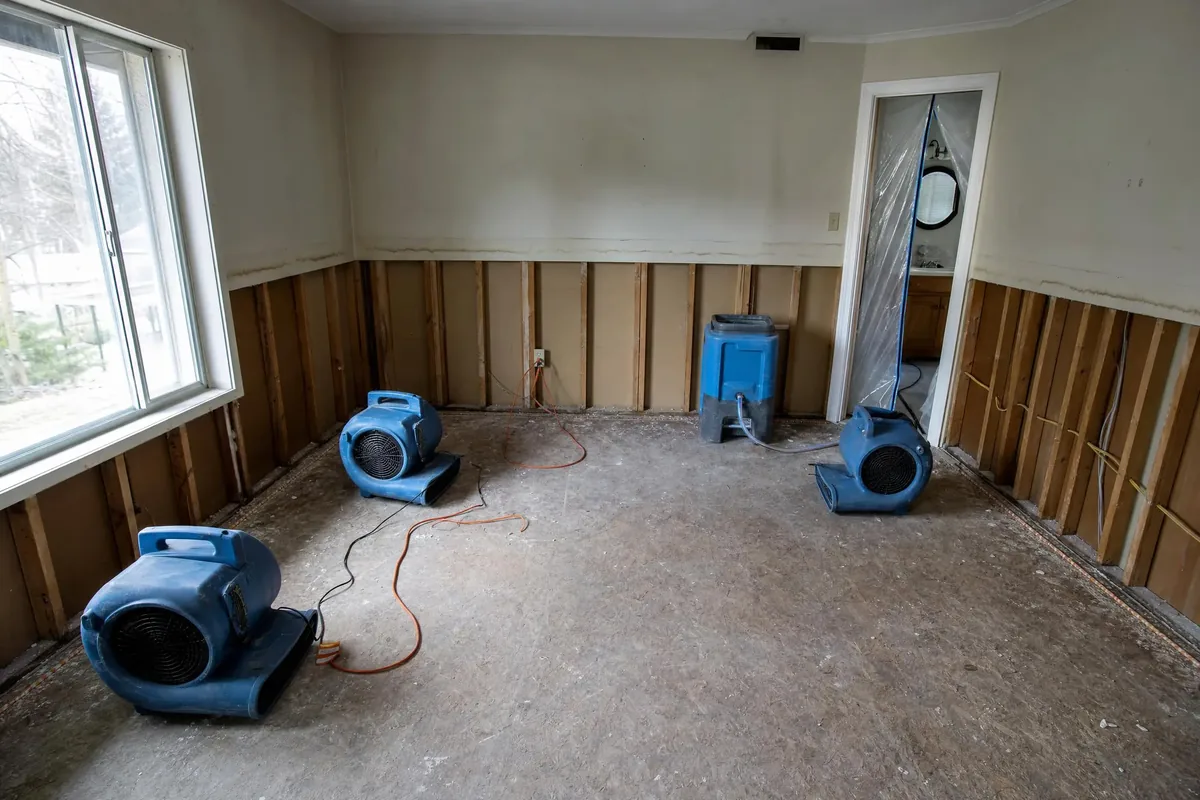Air movers and a dehumidifier drying a room with drywall cut to knee height and studs exposed